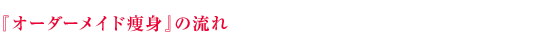 �w�I�[�_�[���C�h���g�x�̗���
