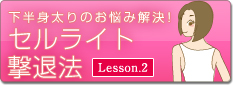 ����ŊȒP�ɂł���Z�����C�g���ޖ@ Lesson 2