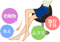 老廃物/冷え/血行不良/ムクミ