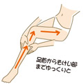 ｾﾙﾗｲﾄ 図