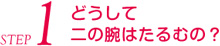 どうして二の腕はたるむの…?