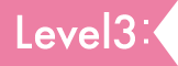 level3