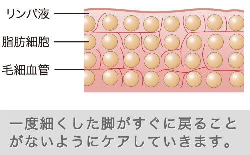 一度細くした脚がすぐに戻ることがないように、定着させていきます。