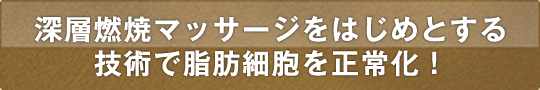 深層燃焼マッサージをはじめとする技術で脂肪細胞を正常化！