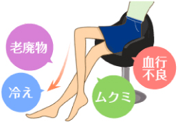 老廃物/冷え/血行不良/ムクミ