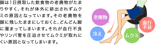 脚は1日摂取した飲食物の老廃物がたまりやすく、それが体外に排出されずムクミの原因となっています。その老廃物を脚に残したままにしておくと、どんどん脚に溜まってしまいます。それが血行不良やリンパ管を圧迫させてムクミが取れにくい原因となってしまいます。