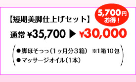 yZrdグZbgz ʏ \35,700\30,000 5,700~@ rقi13j@110 }bT[WICi1{j