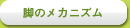 r̃JjY