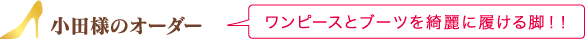 cl̃I[_[ s[Xƃu[cYɗrII