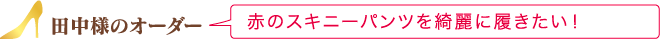cl̃I[_[ Ԃ̃XLj[pcYɗI