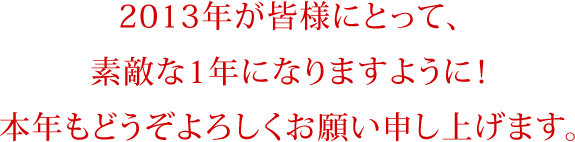 2013年が皆様にとって素敵な1年になりますように 本年もどうぞよろしくお願い申し上げます。